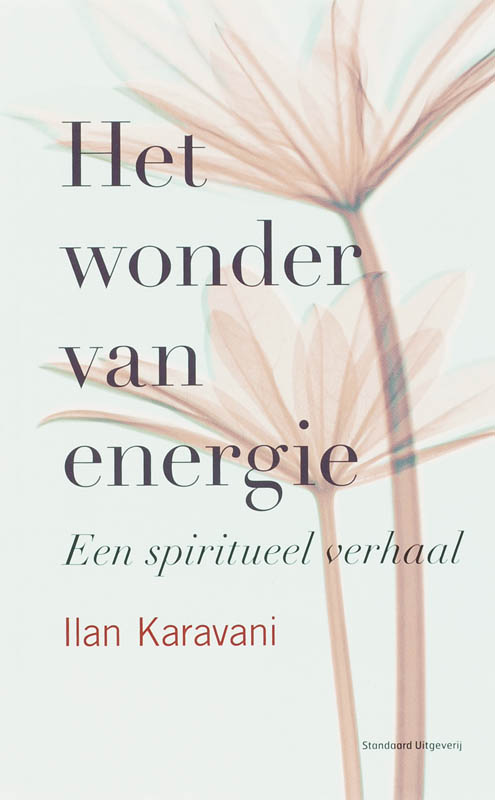 Omslag van Het wonder van energie