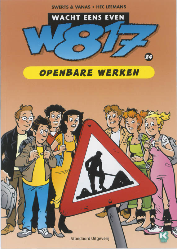 Omslag van Openbare werken