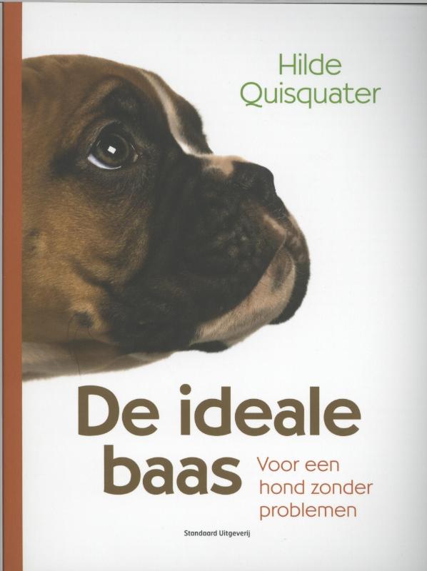 Omslag van De ideale baas
