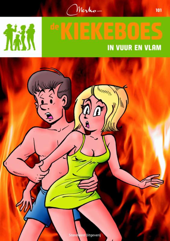 Omslag van In vuur en vlam