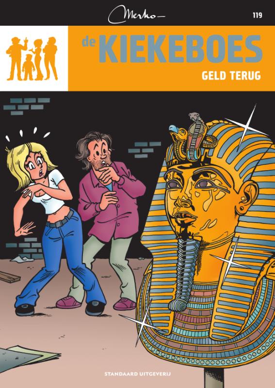 Omslag van Geld terug