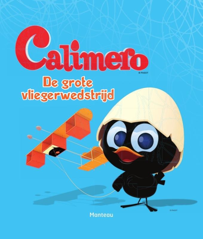 Omslag van De grote vliegerwedstrijd