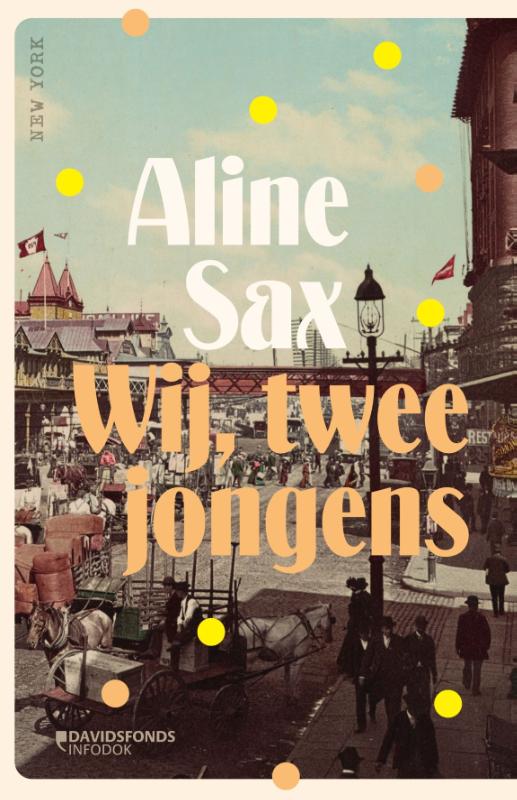 Omslag van Wij, twee jongens