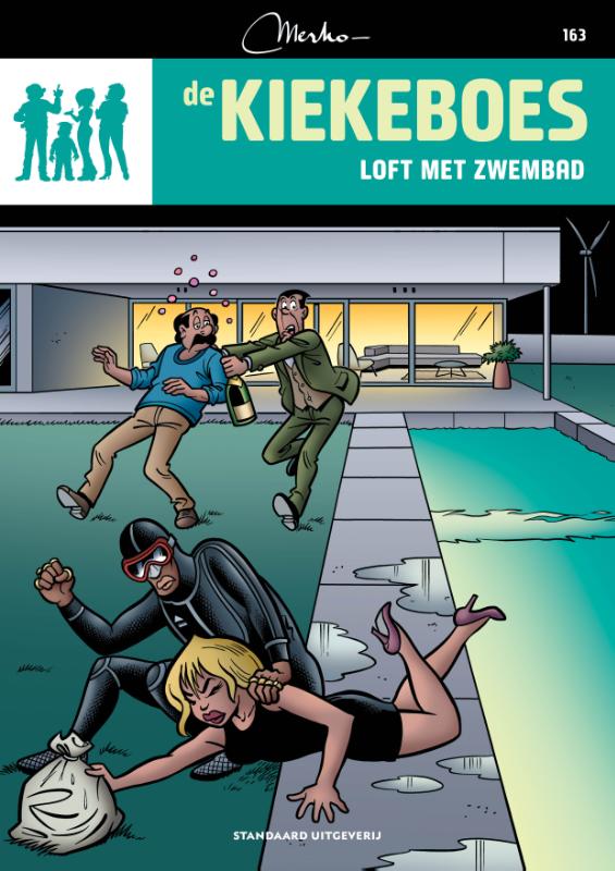 Omslag van Loft met zwembad