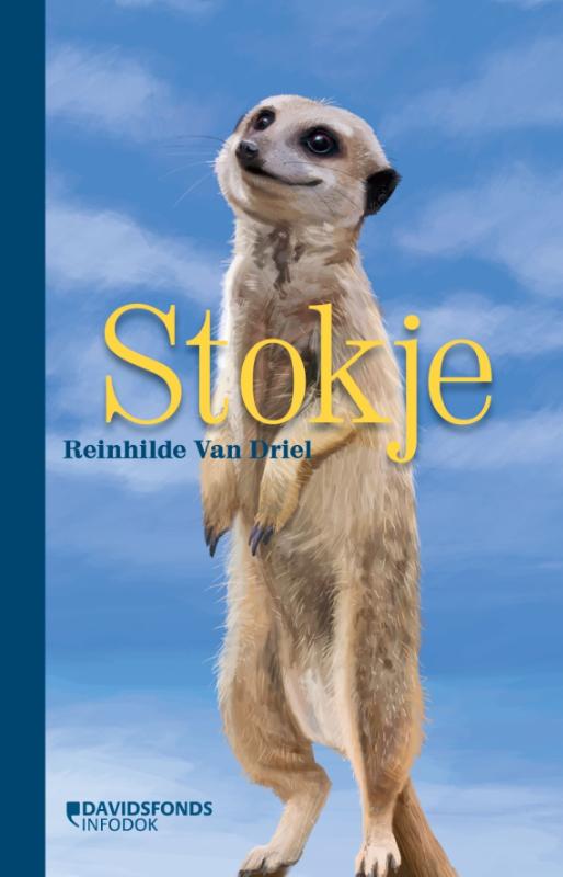 Omslag van Stokje