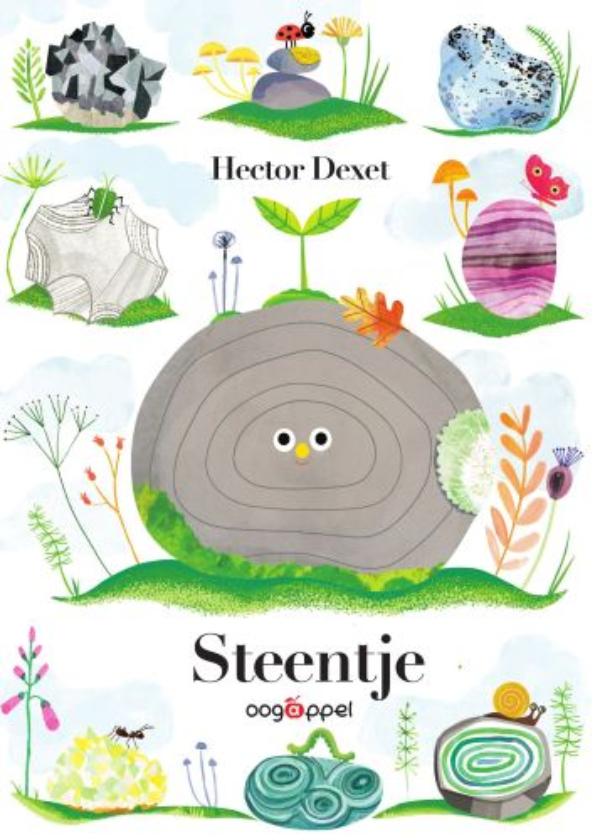 Omslag van Steentje