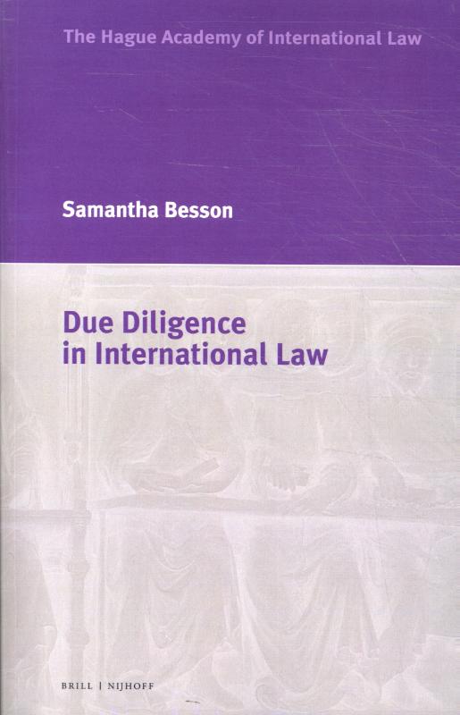 Omslag van Due Diligence in International Law