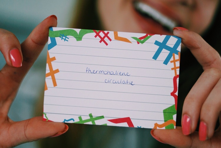 Omslag van Flashcards Examenbundel