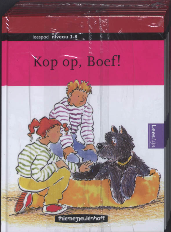 Omslag van Niveau 3-8