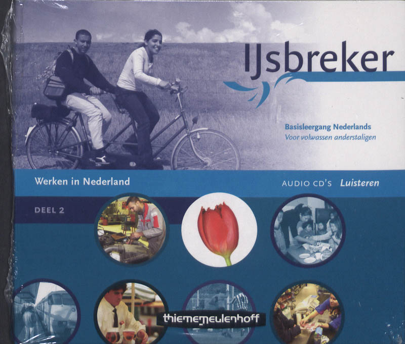 Omslag van Werken in Nederland