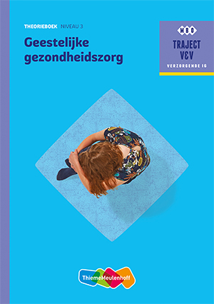 Omslag van Theorieboek Niveau 3