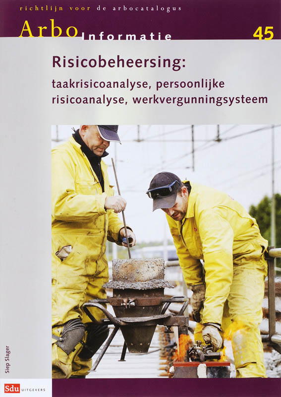 Omslag van 45 Risicobeheersing