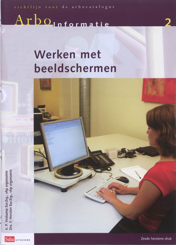 Omslag van Werken met beeldschermen