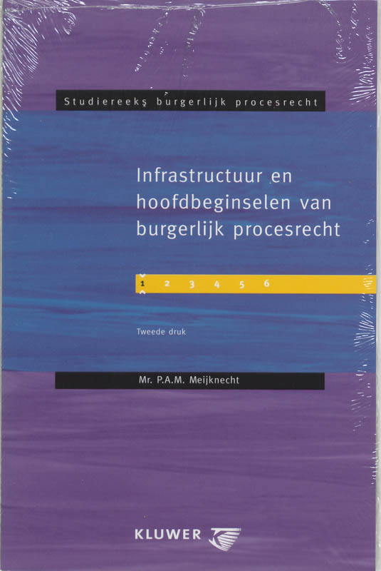 Omslag van Infrastructuur en hoofdbeginselen van burgerlijk procesrecht