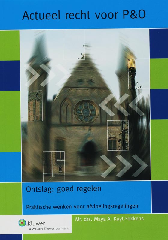 Omslag van Ontslag goed regelen
