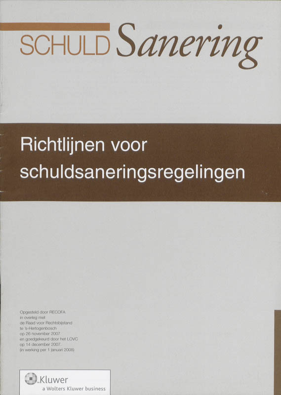 Omslag van Richtlijnen voor schuldsaneringen