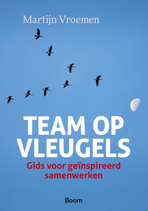 Omslag van Team op vleugels