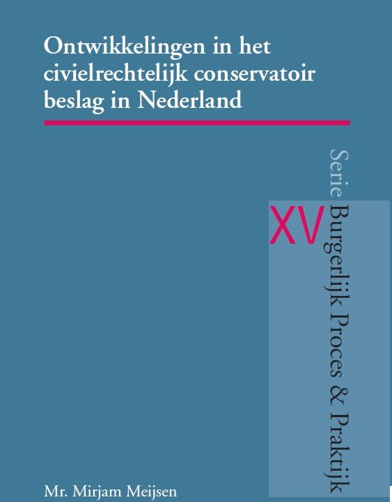 Omslag van Ontwikkelingen in civielrechtelijke conservatoir beslag