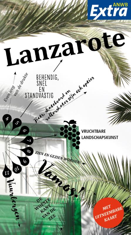 Omslag van Lanzarote