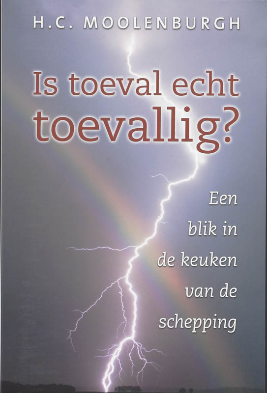 Omslag van Is toeval echt toevallig?