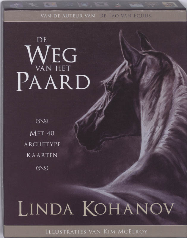 Omslag van De weg van het paard