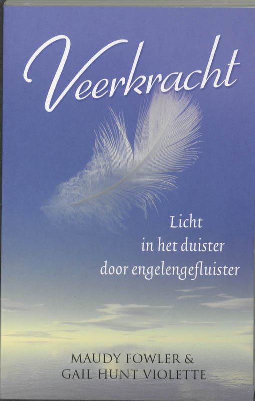 Omslag van Veerkracht