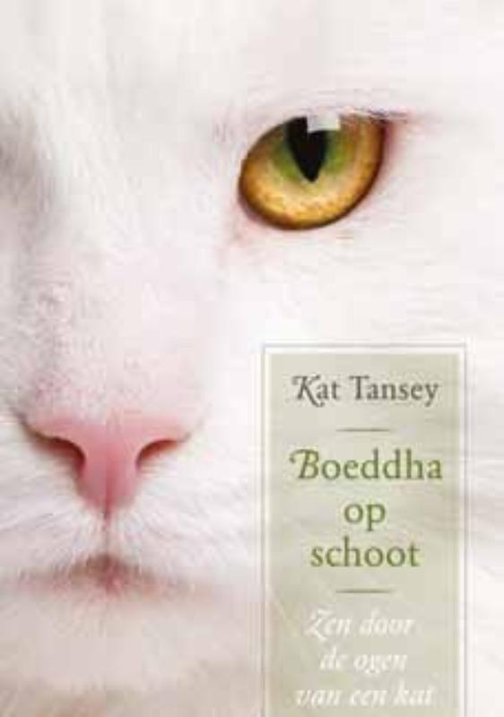 Omslag van Boeddha op schoot
