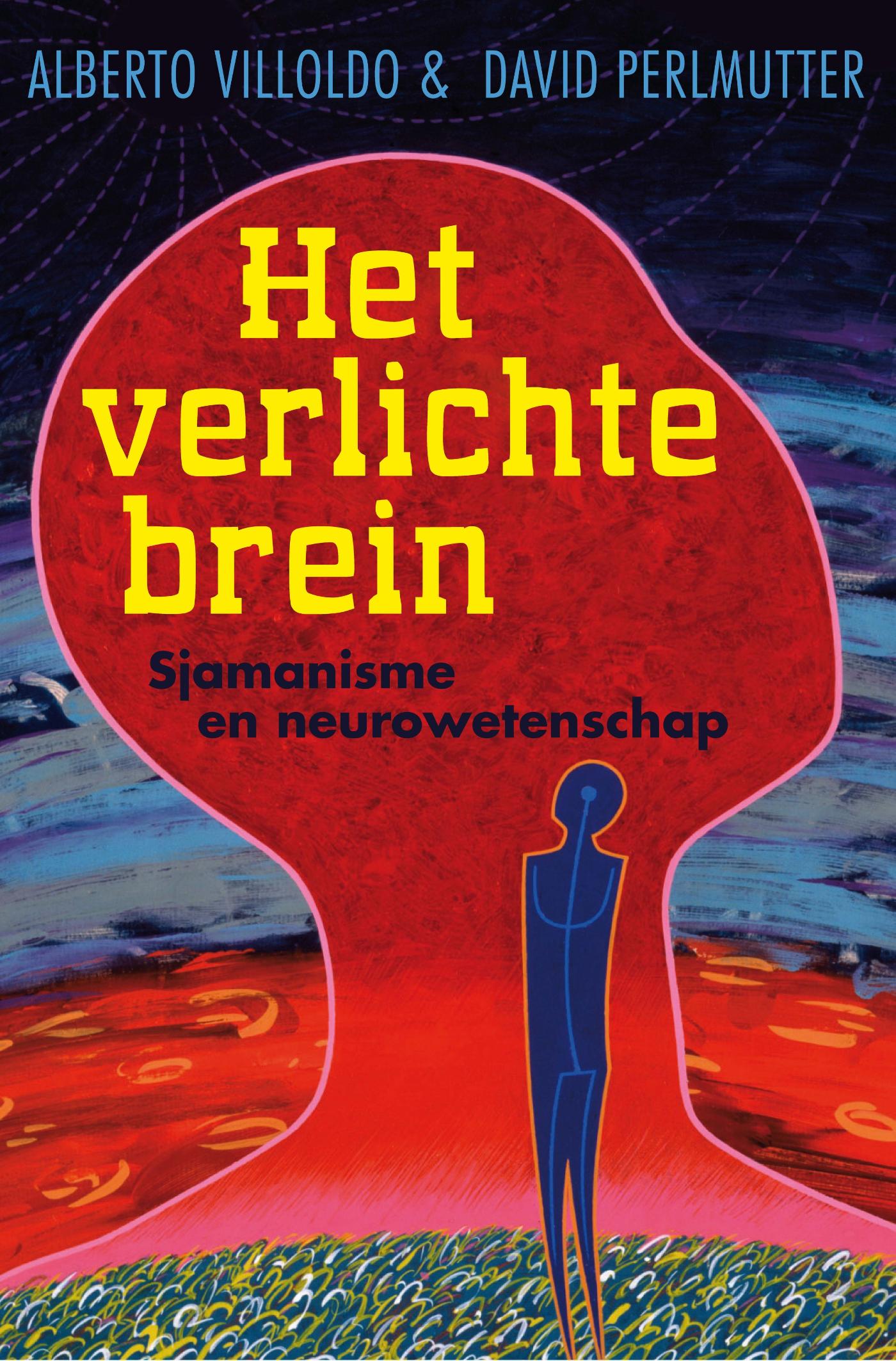 Omslag van Het verlichte brein