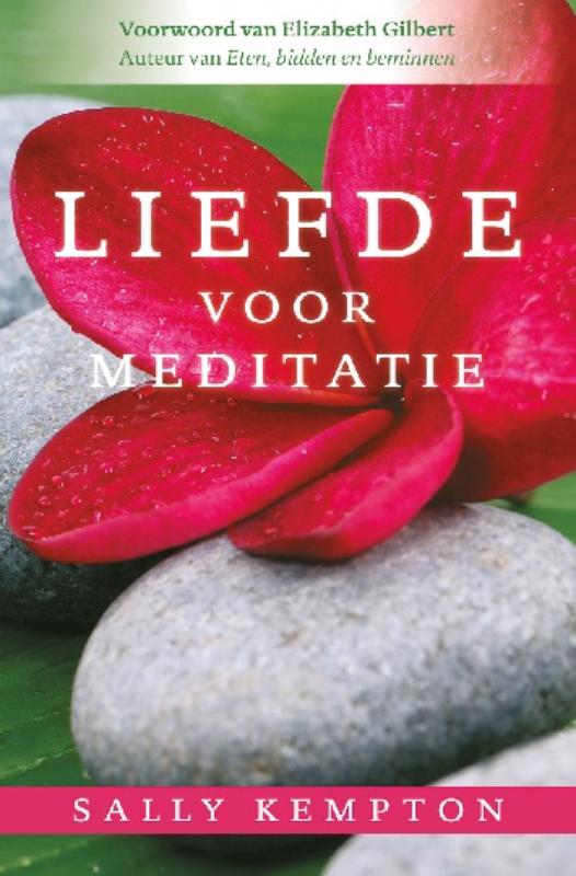 Omslag van Liefde voor meditatie