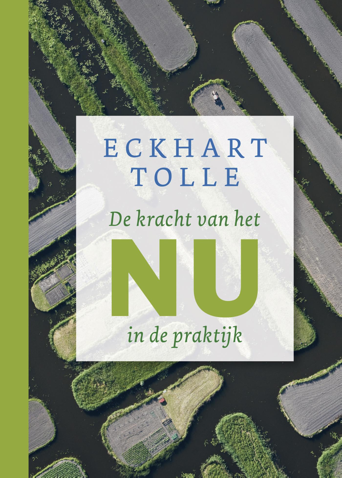 Omslag van De kracht van het nu in de praktijk