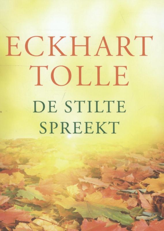 Omslag van De stilte spreekt