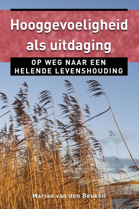 Omslag van Hooggevoeligheid als uitdaging