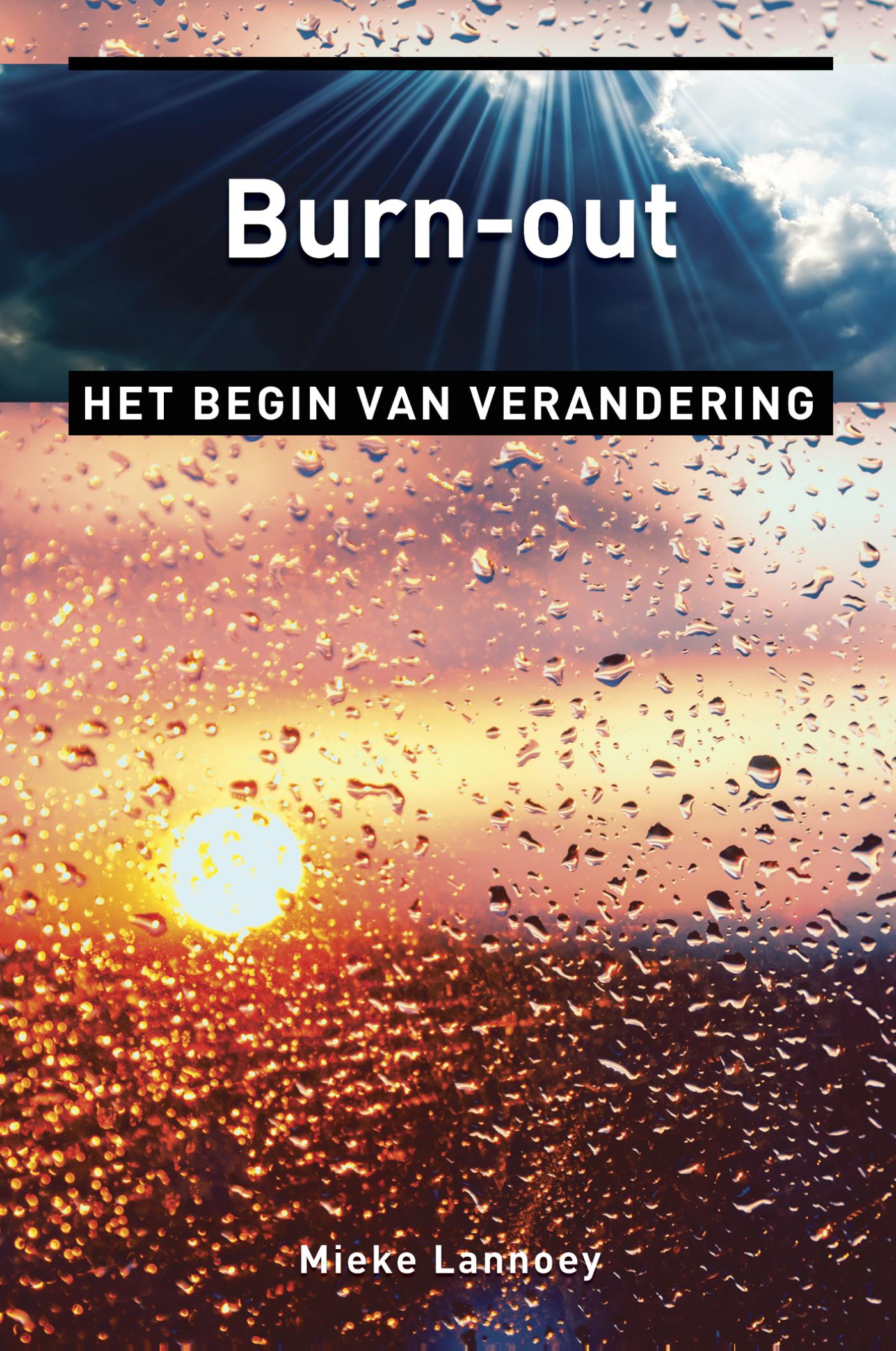 Omslag van Burn-out