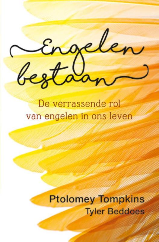Omslag van Engelen bestaan