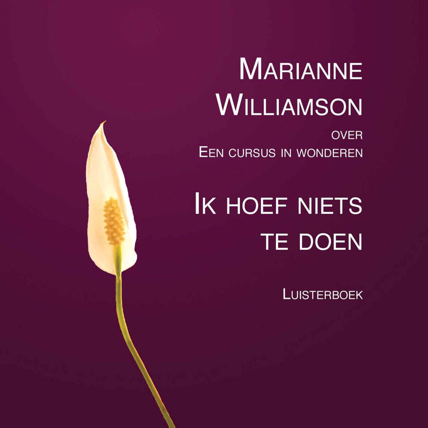 Omslag van Ik hoef niets te doen