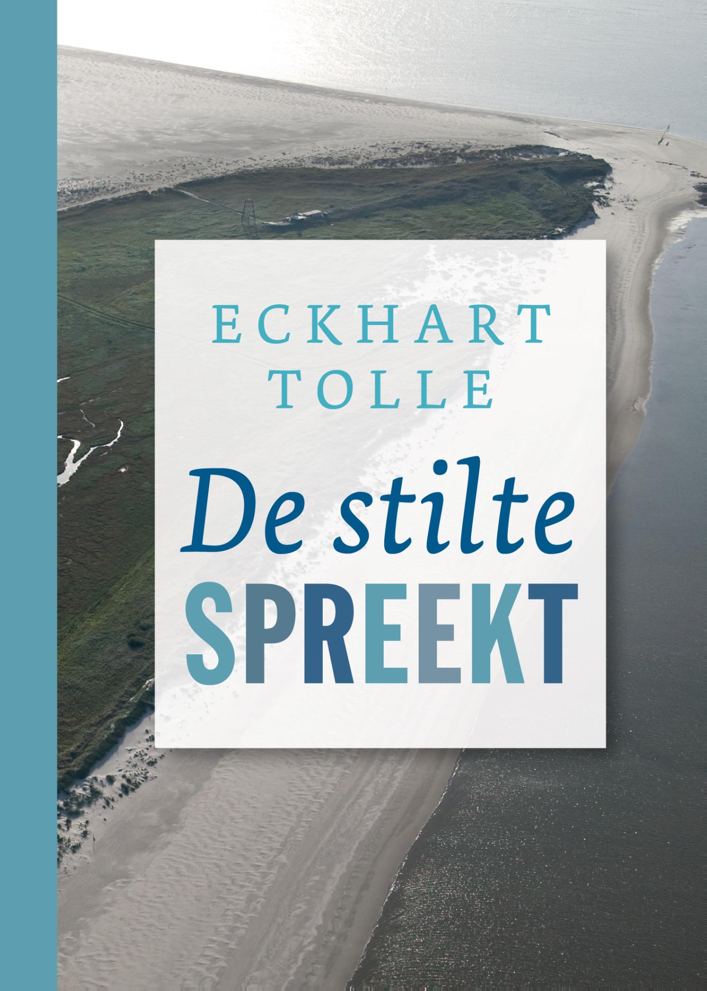 Omslag van De stilte spreekt