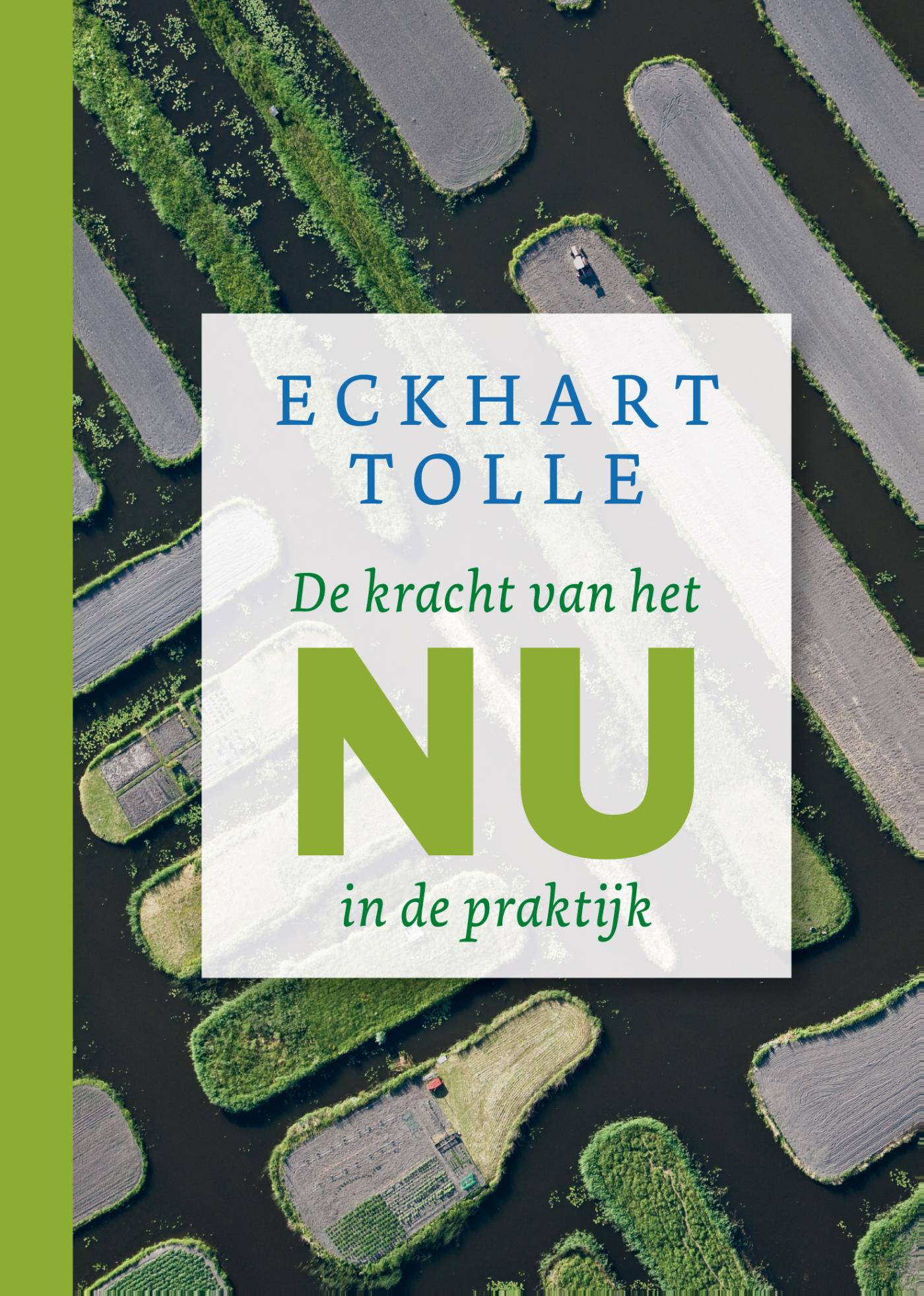 Omslag van De kracht van het nu in de praktijk