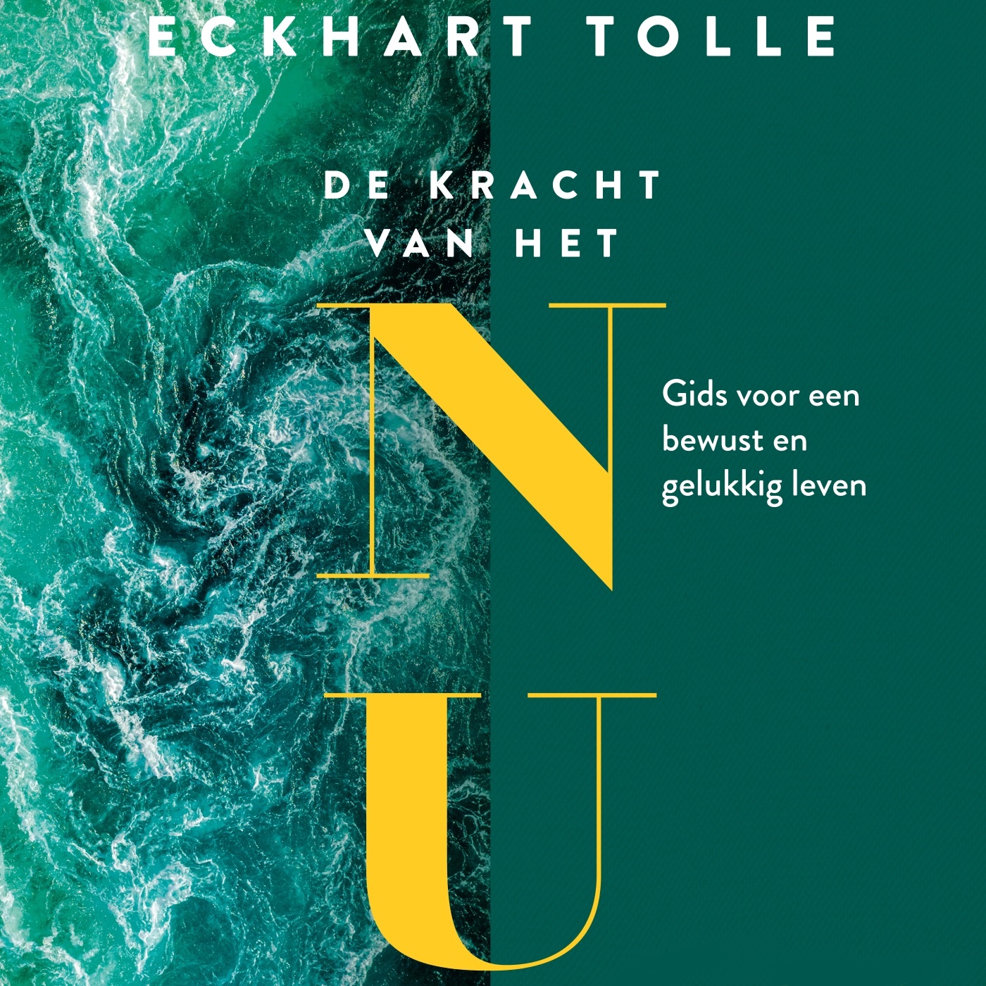 Omslag van De kracht van het NU