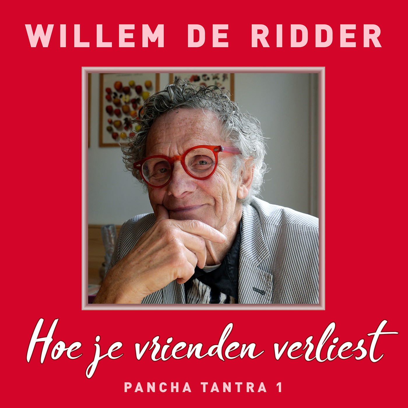 Omslag van Hoe je vrienden verliest
