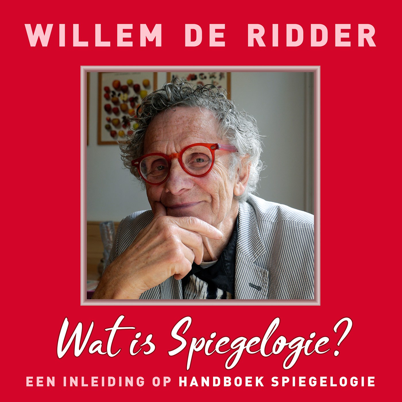 Omslag van Wat is Spiegelogie