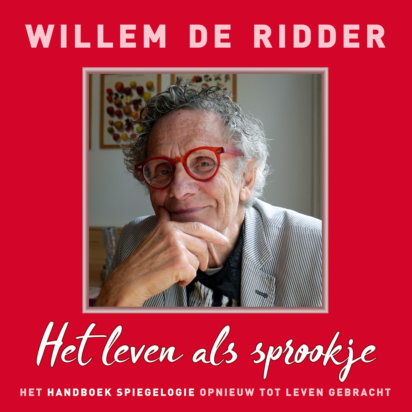 Omslag van Het leven als sprookje