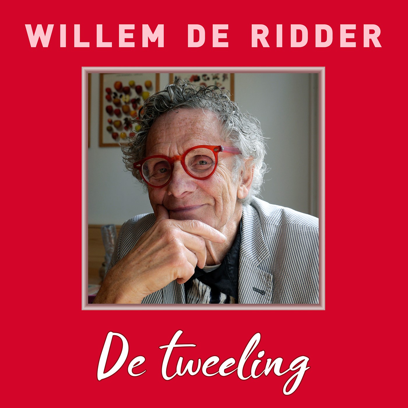 Omslag van De Tweeling