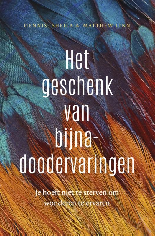 Omslag van Het geschenk van bijna-doodervaringen