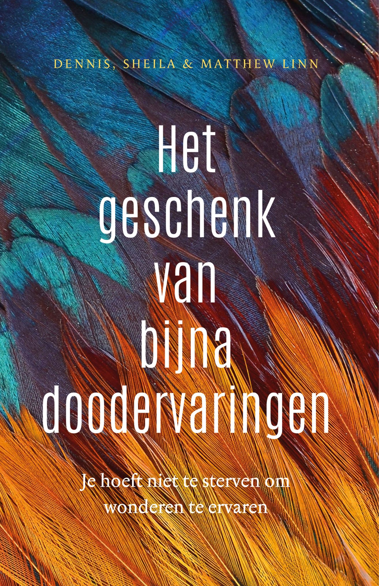 Omslag van Het geschenk van bijna-doodervaringen