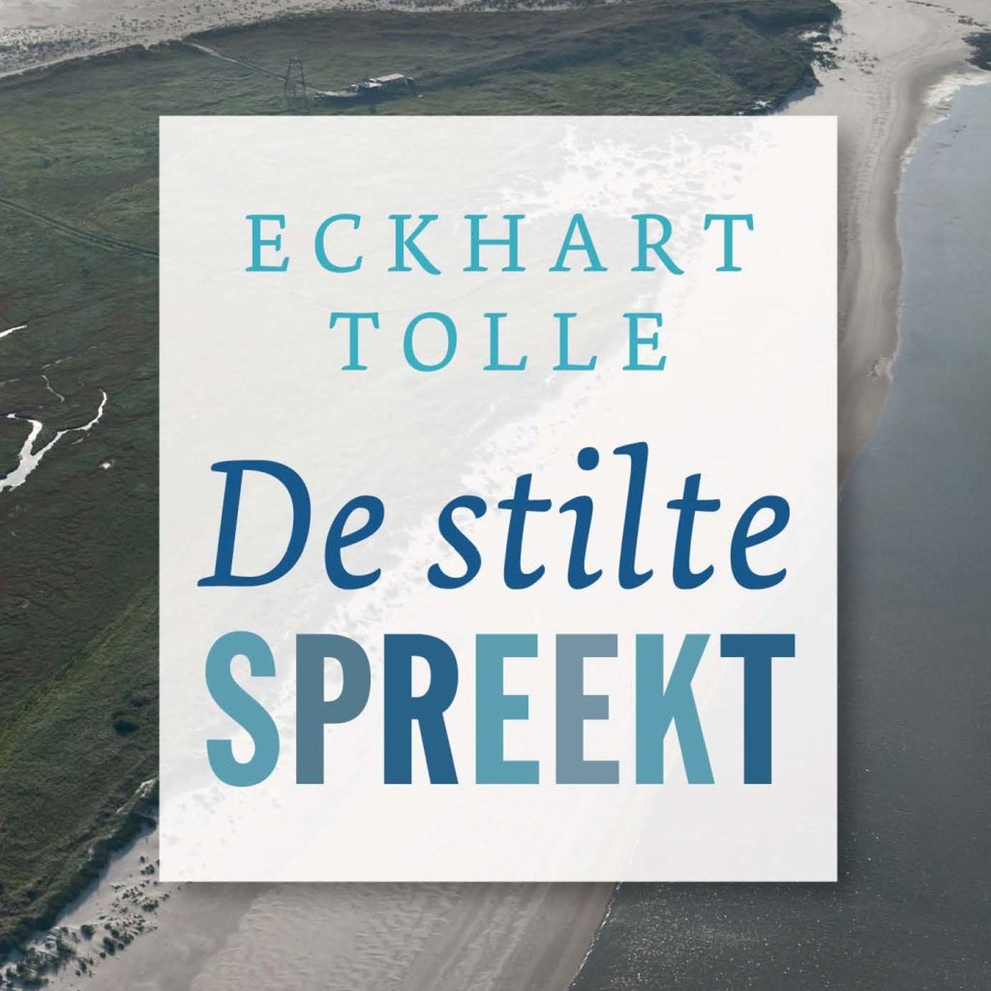 Omslag van De stilte spreekt