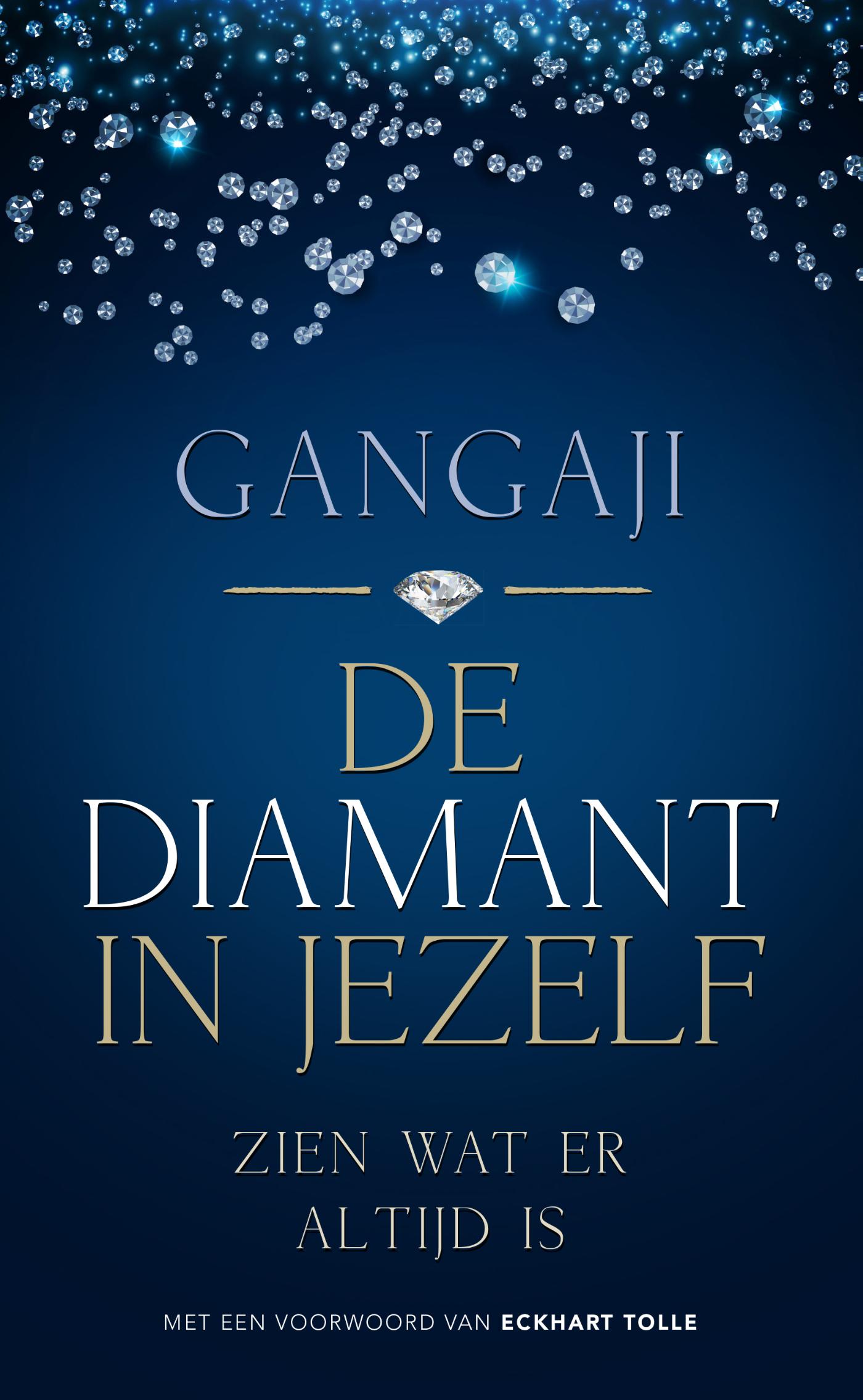 Omslag van De diamant in jezelf