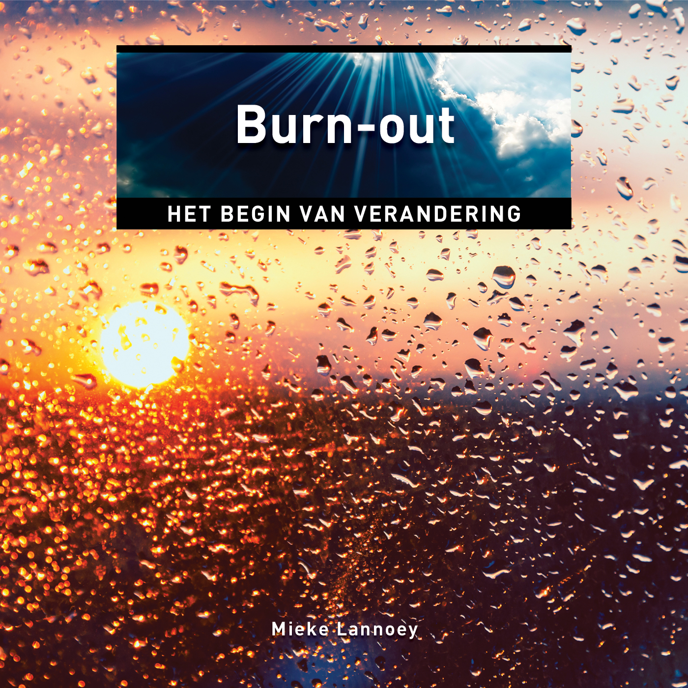 Omslag van Burn-out