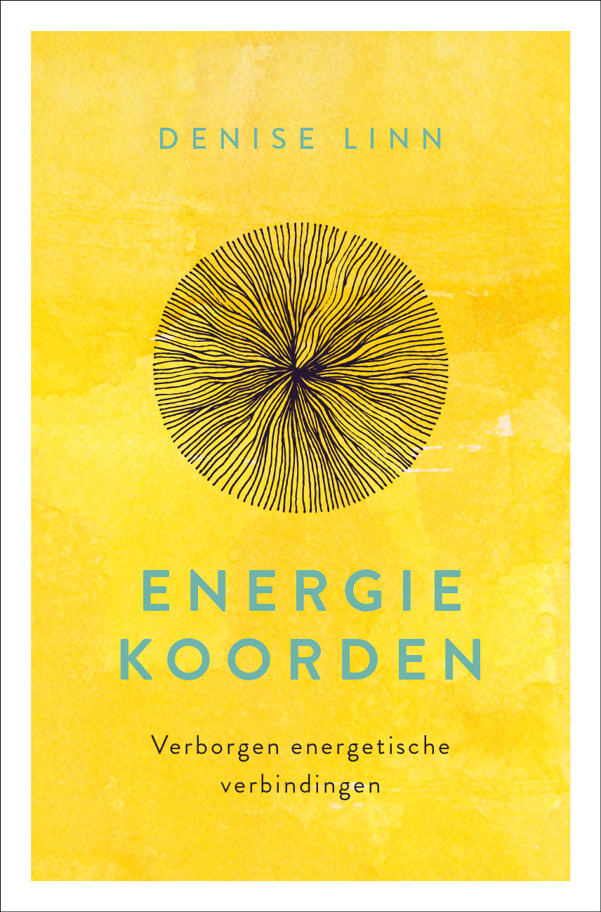 Omslag van Energiekoorden
