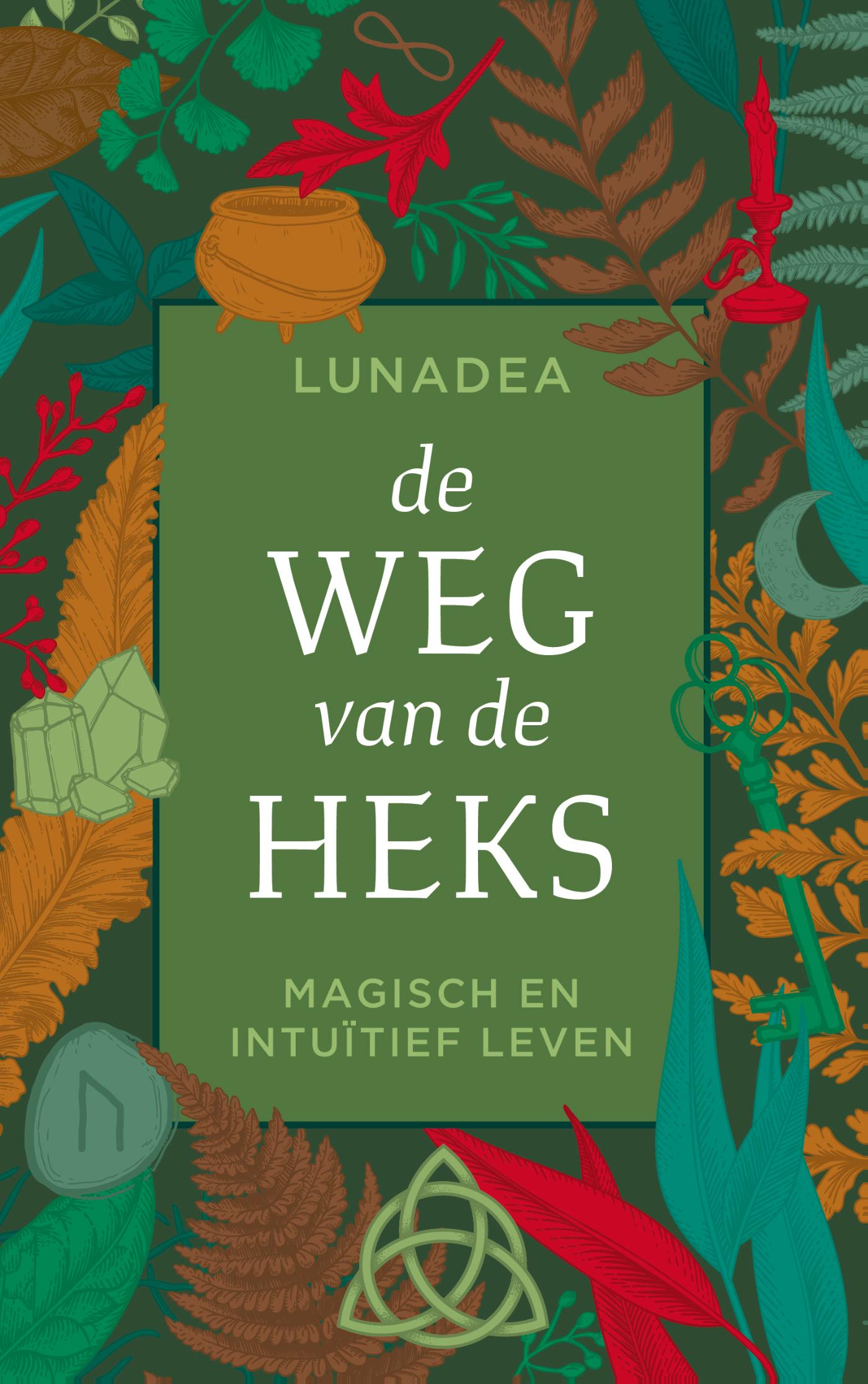 Omslag van De weg van de heks