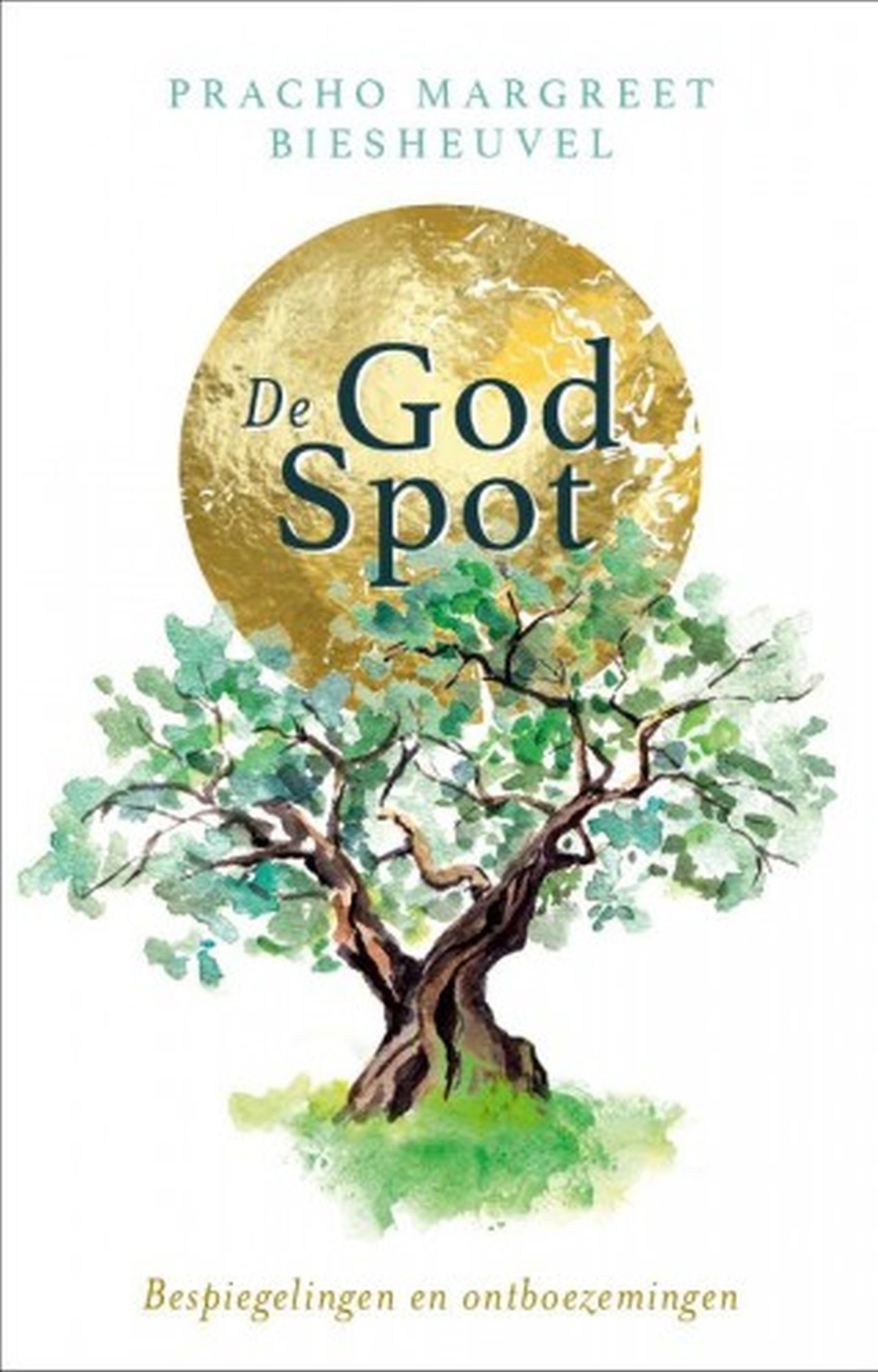 Omslag van De God-spot